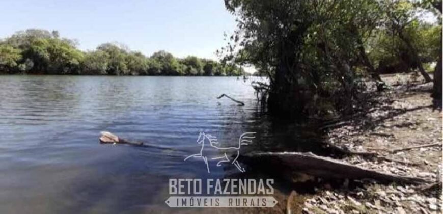 Fazenda à Venda 83.300 hectares Dupla Aptidão Lavoura e Pecuária | São Félix do Araguaia/MT