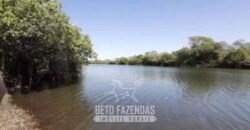 Fazenda à Venda 83.300 hectares Dupla Aptidão Lavoura e Pecuária | São Félix do Araguaia/MT
