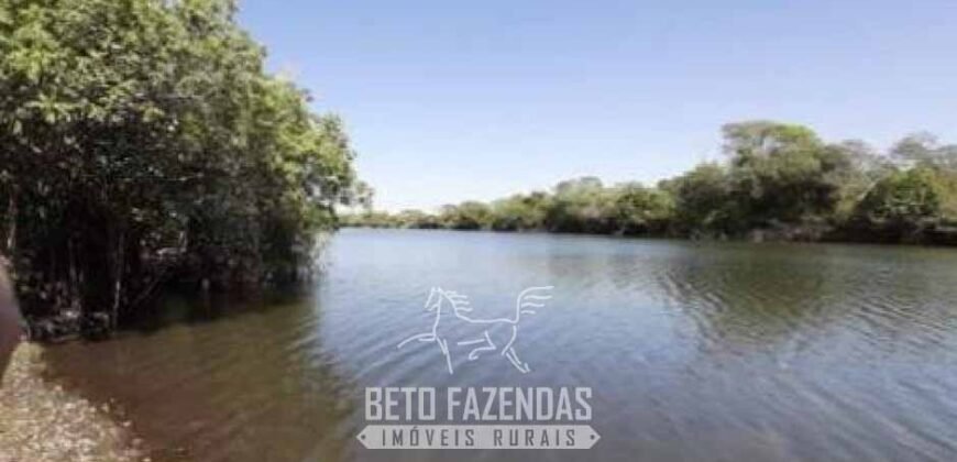 Fazenda à Venda 83.300 hectares Dupla Aptidão Lavoura e Pecuária | São Félix do Araguaia/MT