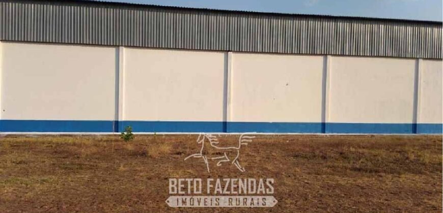 Fazenda à Venda 83.300 hectares Dupla Aptidão Lavoura e Pecuária | São Félix do Araguaia/MT