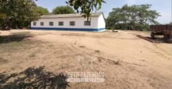 Fazenda à Venda 83.300 hectares Dupla Aptidão Lavoura e Pecuária | São Félix do Araguaia/MT