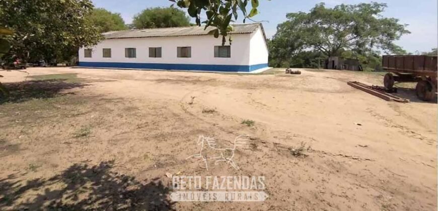 Fazenda à Venda 83.300 hectares Dupla Aptidão Lavoura e Pecuária | São Félix do Araguaia/MT