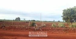 Fazenda à Venda 83.300 hectares Dupla Aptidão Lavoura e Pecuária | São Félix do Araguaia/MT