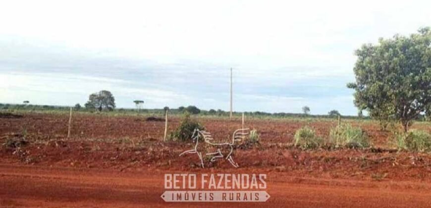 Fazenda à Venda 83.300 hectares Dupla Aptidão Lavoura e Pecuária | São Félix do Araguaia/MT