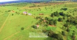 Fazenda à Venda 83.300 hectares Dupla Aptidão Lavoura e Pecuária | São Félix do Araguaia/MT