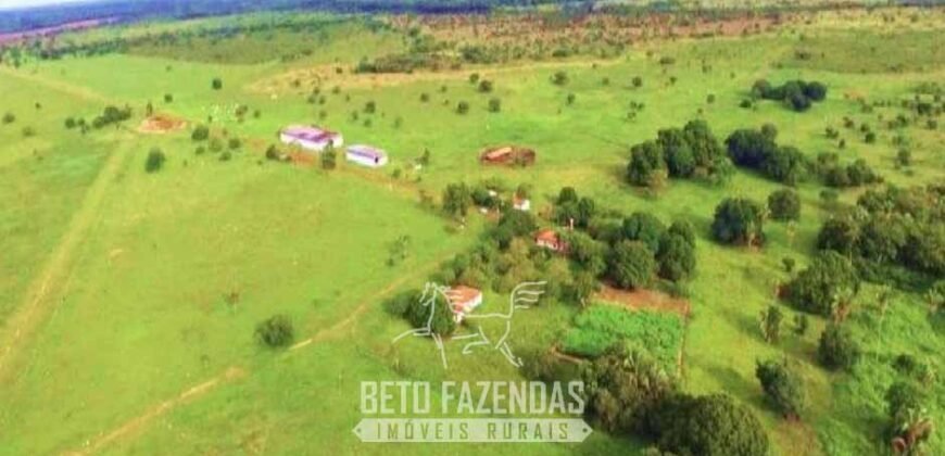 Fazenda à Venda 83.300 hectares Dupla Aptidão Lavoura e Pecuária | São Félix do Araguaia/MT