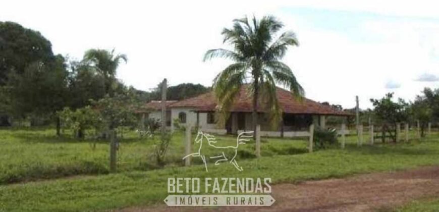 Fazenda à Venda 83.300 hectares Dupla Aptidão Lavoura e Pecuária | São Félix do Araguaia/MT