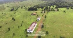 Fazenda à Venda 83.300 hectares Dupla Aptidão Lavoura e Pecuária | São Félix do Araguaia/MT