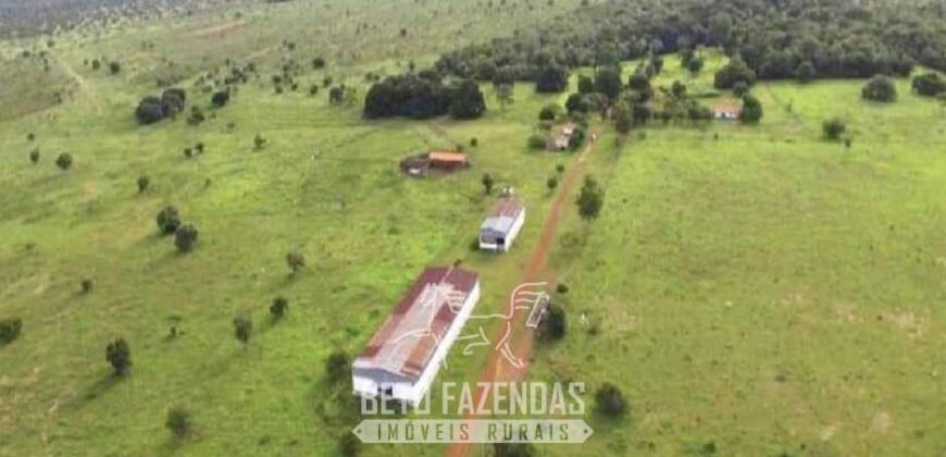 Fazenda à Venda 83.300 hectares Dupla Aptidão Lavoura e Pecuária | São Félix do Araguaia/MT