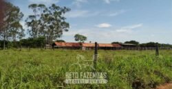 Fazenda à Venda 83.300 hectares Dupla Aptidão Lavoura e Pecuária | São Félix do Araguaia/MT