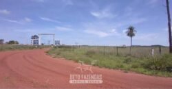Fazenda à Venda 83.300 hectares Dupla Aptidão Lavoura e Pecuária | São Félix do Araguaia/MT
