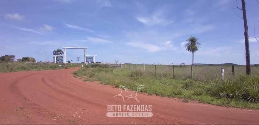 Fazenda à Venda 83.300 hectares Dupla Aptidão Lavoura e Pecuária | São Félix do Araguaia/MT