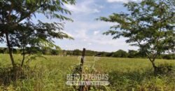 Fazenda à Venda 83.300 hectares Dupla Aptidão Lavoura e Pecuária | São Félix do Araguaia/MT
