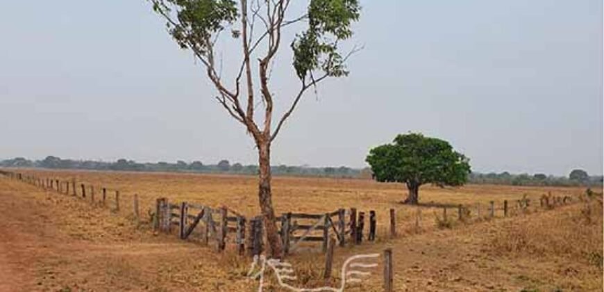 Fazenda à Venda 83.300 hectares Dupla Aptidão Lavoura e Pecuária | São Félix do Araguaia/MT