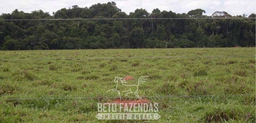 Fazenda à Venda 83.300 hectares Dupla Aptidão Lavoura e Pecuária | São Félix do Araguaia/MT