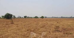 Fazenda à Venda 83.300 hectares Dupla Aptidão Lavoura e Pecuária | São Félix do Araguaia/MT