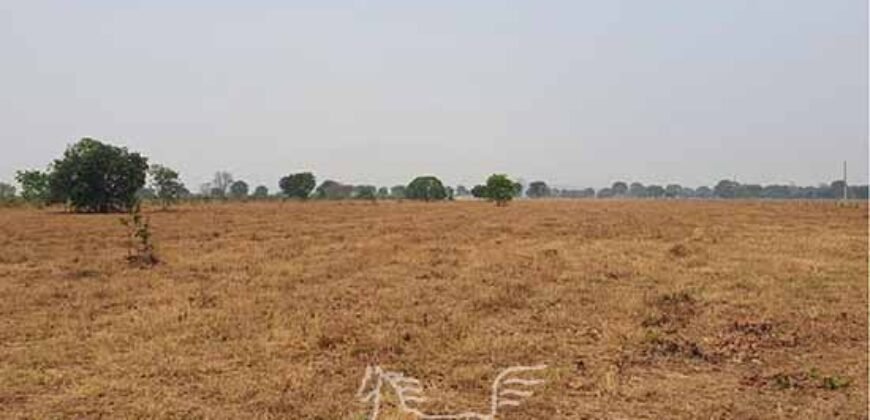 Fazenda à Venda 83.300 hectares Dupla Aptidão Lavoura e Pecuária | São Félix do Araguaia/MT