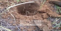 Fazenda à Venda 46.037 Has Produzindo Soja Estrutura Completa | Nova Brasilândia/MT