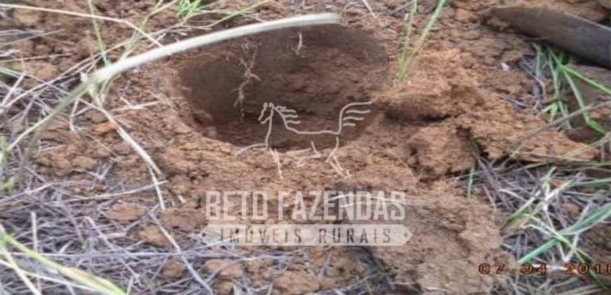 Fazenda à Venda 46.037 Has Produzindo Soja Estrutura Completa | Nova Brasilândia/MT