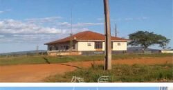 Fazenda à Venda 46.037 Has Produzindo Soja Estrutura Completa | Nova Brasilândia/MT