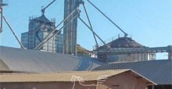 Fazenda à Venda 46.037 Has Produzindo Soja Estrutura Completa | Nova Brasilândia/MT
