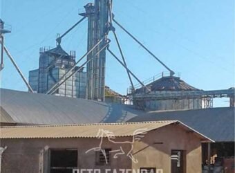 Fazenda à Venda 46.037 Has Produzindo Soja Estrutura Completa | Nova Brasilândia/MT