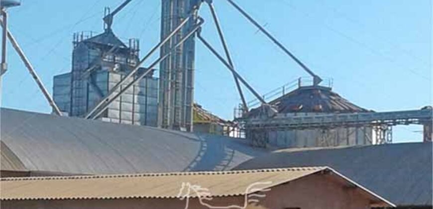 Fazenda à Venda 46.037 Has Produzindo Soja Estrutura Completa | Nova Brasilândia/MT
