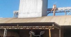 Fazenda à Venda 46.037 Has Produzindo Soja Estrutura Completa | Nova Brasilândia/MT