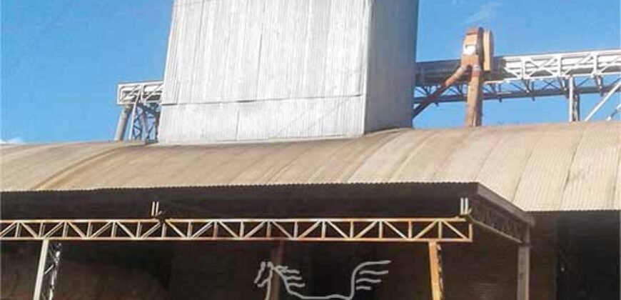 Fazenda à Venda 46.037 Has Produzindo Soja Estrutura Completa | Nova Brasilândia/MT