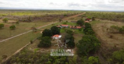 Fazenda à Venda 12.000 Hectares Estrutura Pecuária, Irrigação e Energia Solar | Arinos/MG