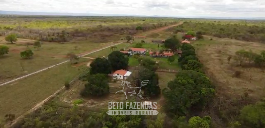 Fazenda à Venda 12.000 Hectares Estrutura Pecuária, Irrigação e Energia Solar | Arinos/MG