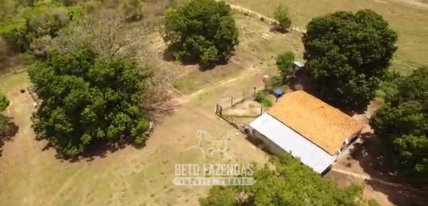 Fazenda à Venda 12.000 Hectares Estrutura Pecuária, Irrigação e Energia Solar | Arinos/MG