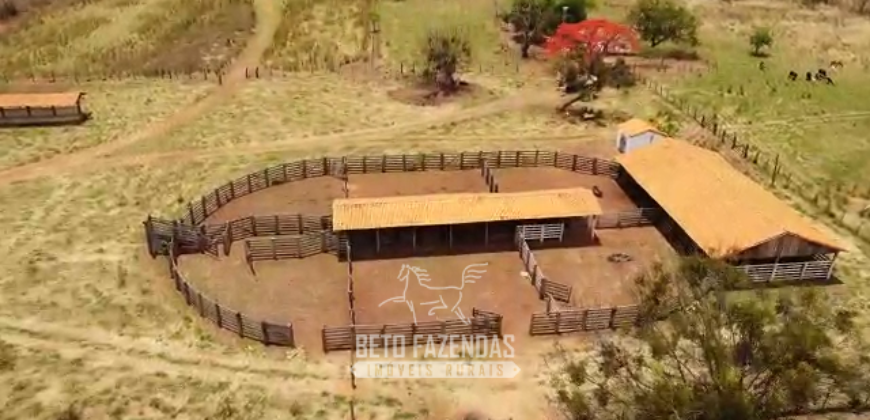 Fazenda à Venda 12.000 Hectares Estrutura Pecuária, Irrigação e Energia Solar | Arinos/MG