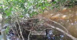 Fazenda à Venda 12.000 Hectares Estrutura Pecuária, Irrigação e Energia Solar | Arinos/MG