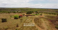 Fazenda à Venda 12.000 Hectares Estrutura Pecuária, Irrigação e Energia Solar | Arinos/MG