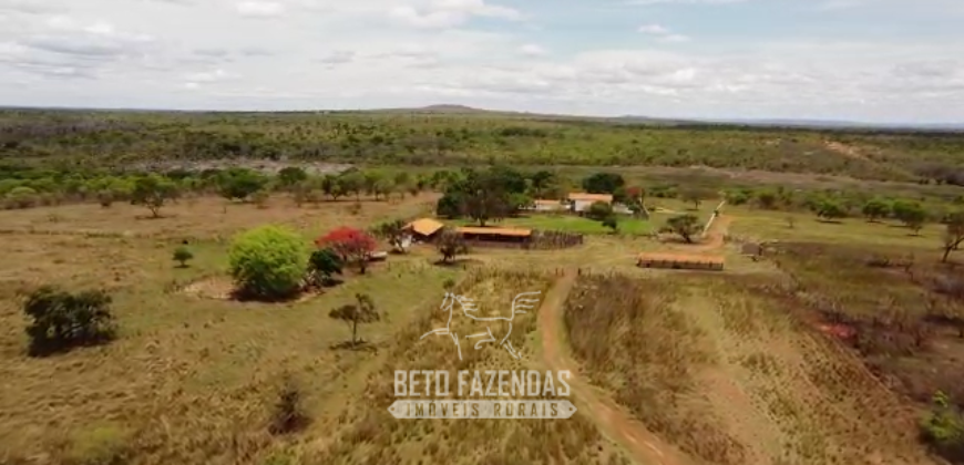 Fazenda à Venda 12.000 Hectares Estrutura Pecuária, Irrigação e Energia Solar | Arinos/MG