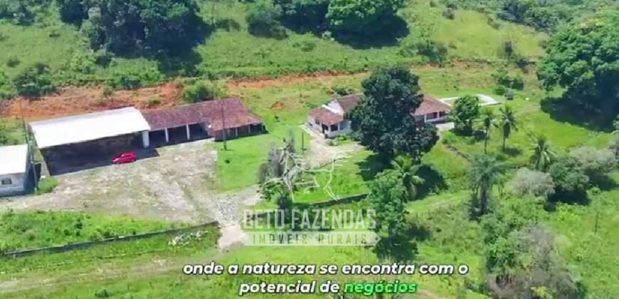 Fazenda à Venda 474 Has às Margens da Rodovia Empreendimentos, Pecuária e Lavoura | Magé/RJ
