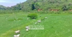 Fazenda à Venda 474 Has às Margens da Rodovia Empreendimentos, Pecuária e Lavoura | Magé/RJ