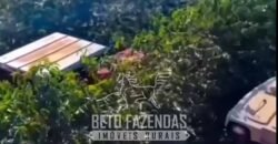 Fazenda de Café 1.000 Hectares Certificada p/ Exportação | Região de Ibiá/MG