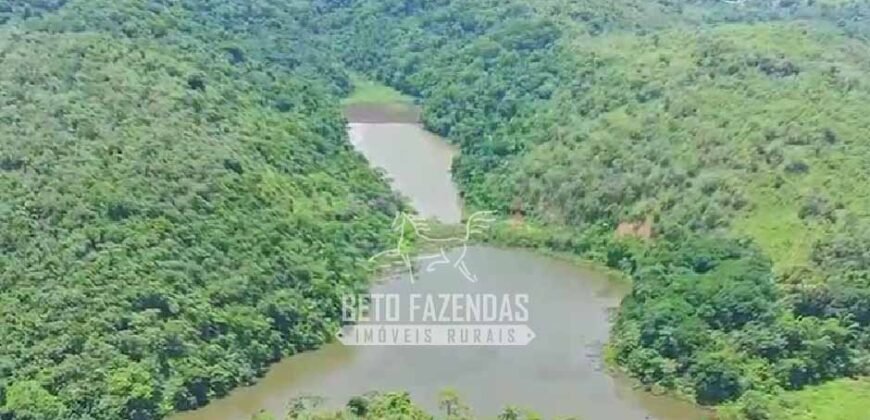 Fazenda à Venda 474 Has às Margens da Rodovia Empreendimentos, Pecuária e Lavoura | Magé/RJ