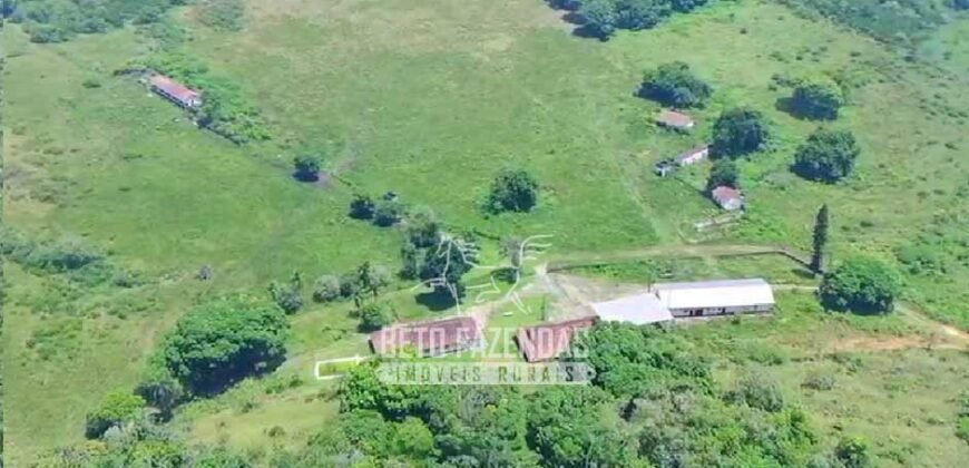 Fazenda à Venda 474 Has às Margens da Rodovia Empreendimentos, Pecuária e Lavoura | Magé/RJ