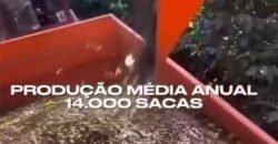 Fazenda de Café 1.000 Hectares Certificada p/ Exportação | Região de Ibiá/MG