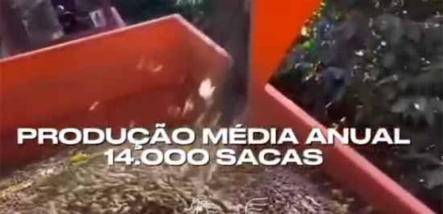 Fazenda de Café 1.000 Hectares Certificada p/ Exportação | Região de Ibiá/MG