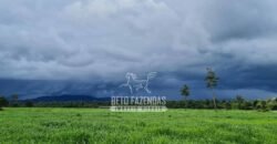 Fazenda à Venda 1.936 Has Pecuária Intensiva | Confresa e Vila Rica/ MT