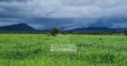 Fazenda à Venda 1.936 Has Pecuária Intensiva | Confresa e Vila Rica/ MT