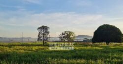 Fazenda à Venda 1.936 Has Pecuária Intensiva | Confresa e Vila Rica/ MT