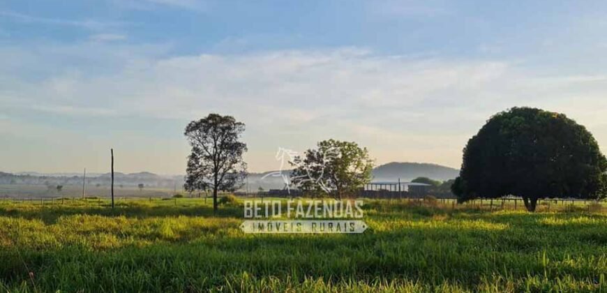 Fazenda à Venda 1.936 Has Pecuária Intensiva | Confresa e Vila Rica/ MT