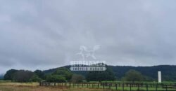 Fazenda à Venda 1.936 Has Pecuária Intensiva | Confresa e Vila Rica/ MT