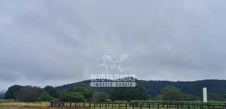 Fazenda à Venda 1.936 Has Pecuária Intensiva | Confresa e Vila Rica/ MT