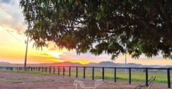 Fazenda à Venda 1.936 Has Pecuária Intensiva | Confresa e Vila Rica/ MT